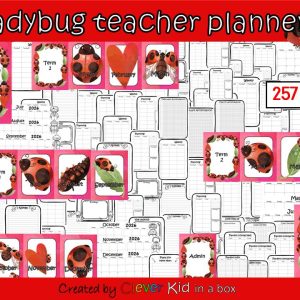 Ladybug Teacher Planner