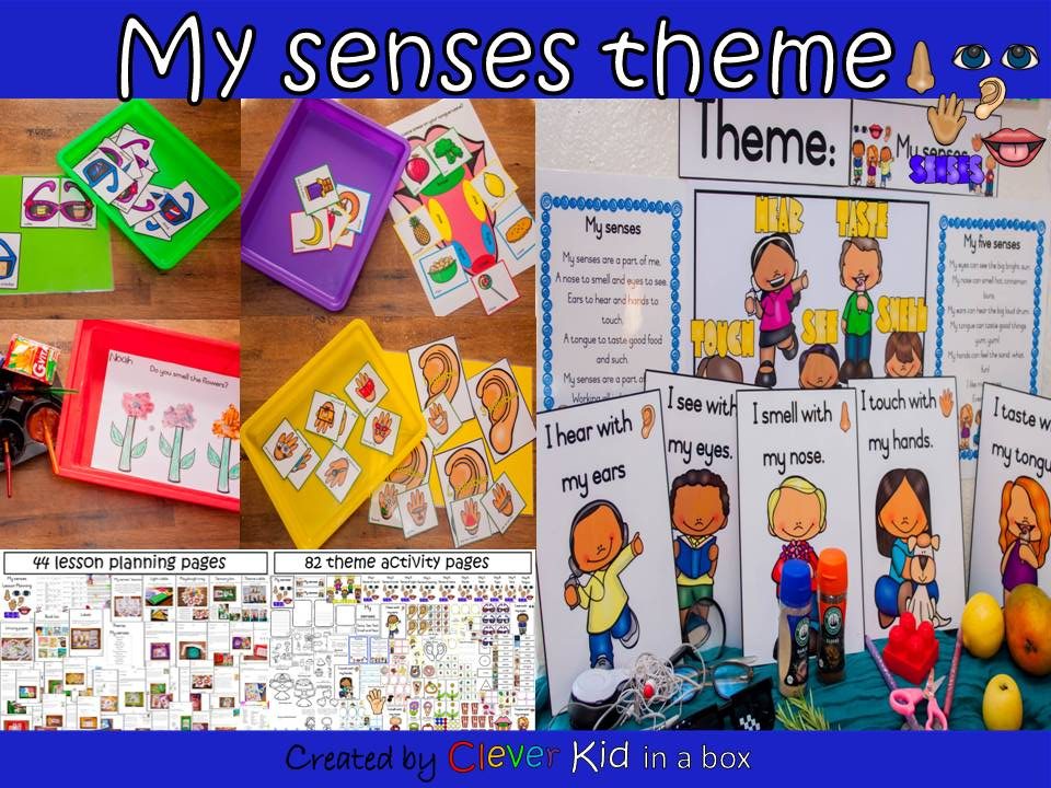 My senses theme