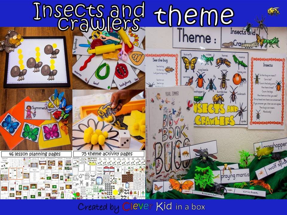 Insects and crawlers theme