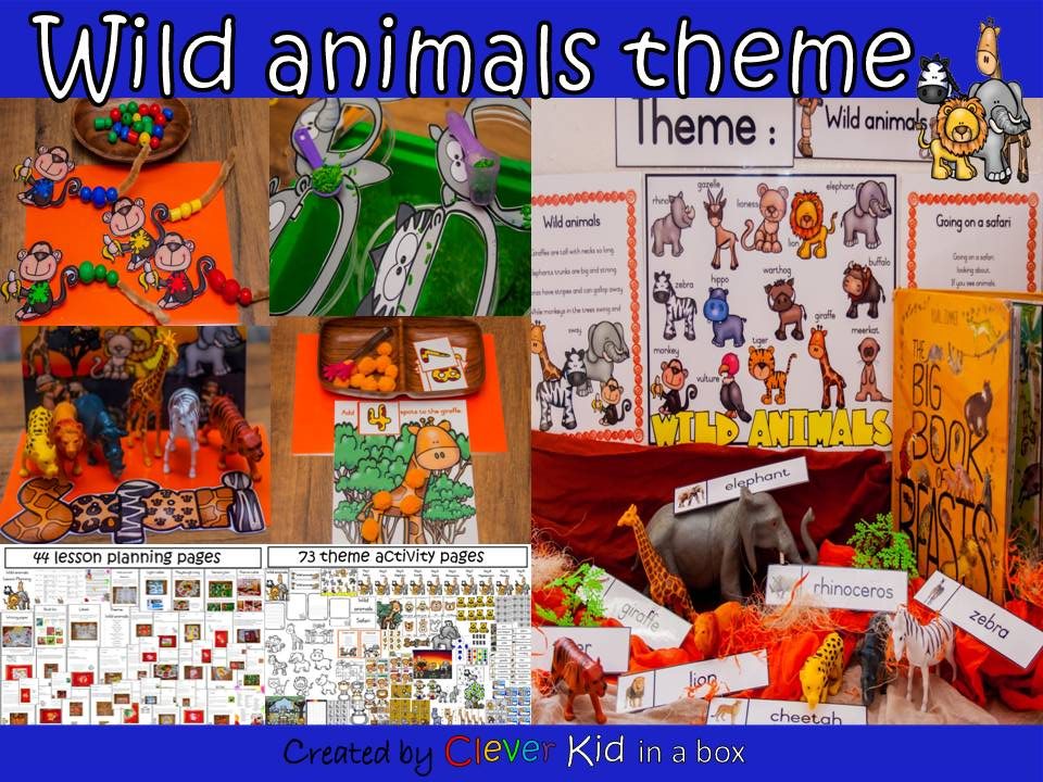Wild animals theme