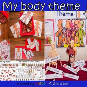 My body theme