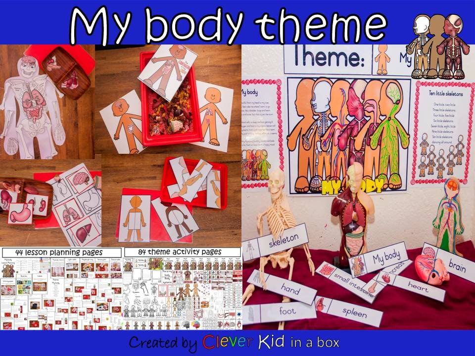 My body theme