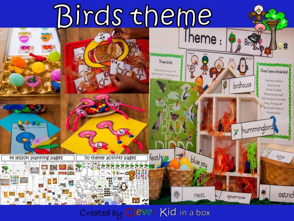 Birds theme